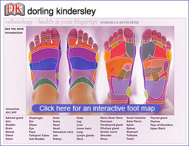 http://www.reflexology-research.com/Images/dk_reflexology_foot_l.jpg