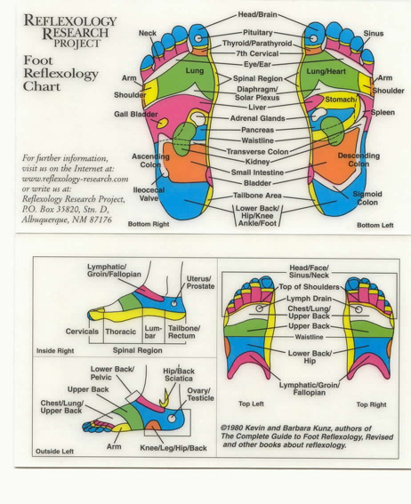 Foot Illness Chart