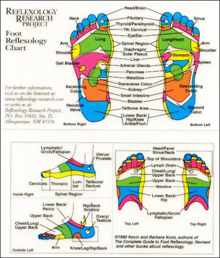 Interactive Reflexology Hand Chart