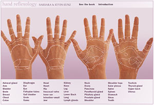 Interactive Reflexology Hand Chart