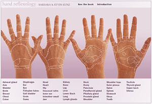 Reflexology Interactive Foot Chart