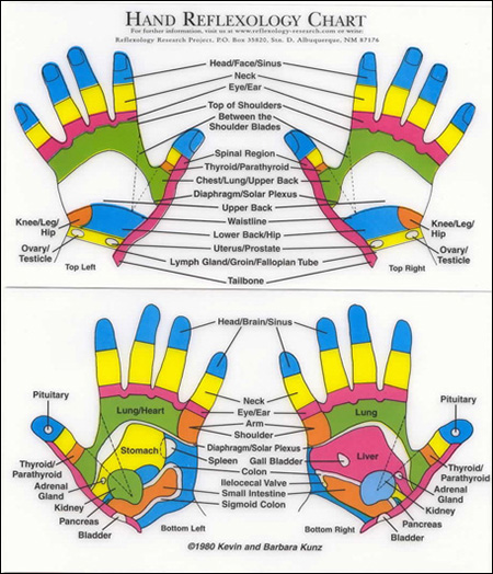 Hand Reflexology Chart For Weight Loss
