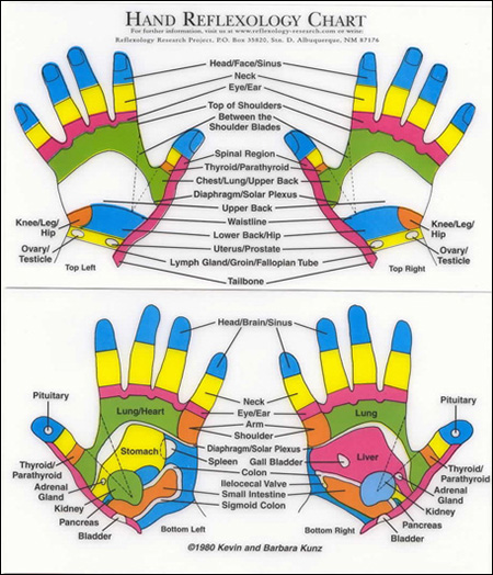 Interactive Reflexology Hand Chart